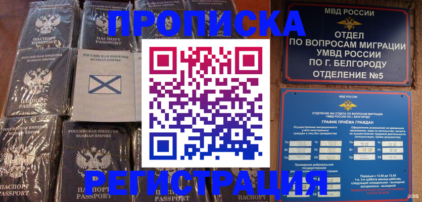 прописка гарантия в Малой Вишере